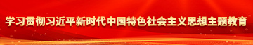 把美女艹到喷水在线观看学习贯彻习近平新时代中国特色社会主义思想主题教育